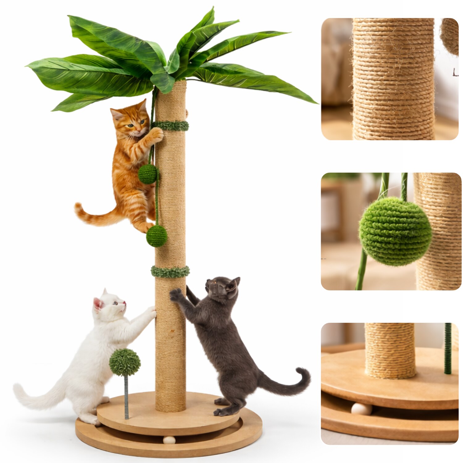 Miau Miau Palmier vazut complet